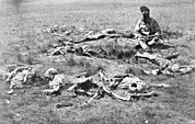 Restene av tjue døde crowindianere 1874, samtlige skutt og skalpert, angivelig av «vantro» (pegans, dvs. andre indianere).