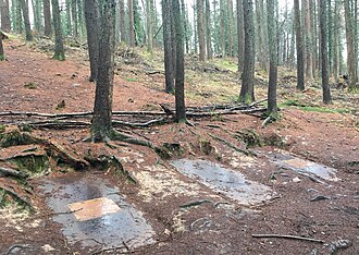 Dead Wood / Bois Mort by Carole Drake opened in 1995. The sunken steel plates suggest nameless graves in forests visited by war. Dead Wood .jpg