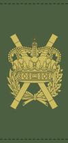 File:Denmark-Army-CoD.svg