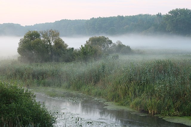 Река Десна (Десёнка), приток Южного Буга, на рассвете. Винницкий район