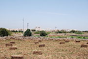 Dingli27. Mai 2009