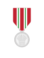 Disciplined Services Medal for Meritorious Service - Police Force