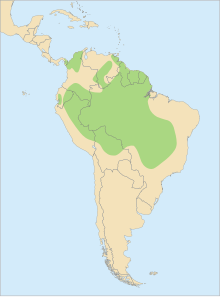 Distribution Ara ararauna.svg