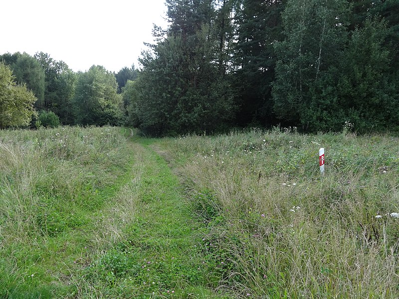 File:Droga polna, ale za to dobrze oznakowana... (zejście z Dziadów w stronę Płonnej) - panoramio.jpg