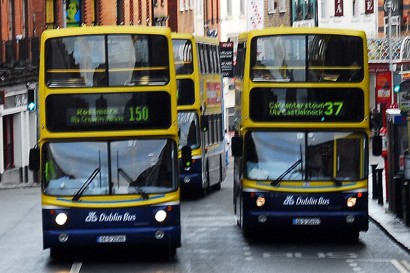 File:Dublin Bus buses.jpg