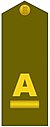 ES-Army-OA2.jpg