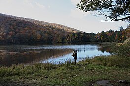 Echo lake - ny - usa.JPG