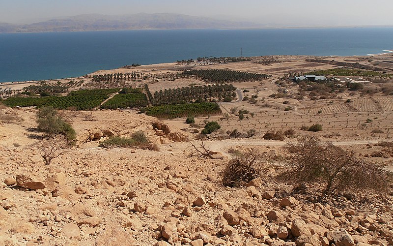 File:Ein Gedi עין גדי - panoramio.jpg