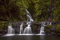 Elebana Falls, Lamington National Park.jpg