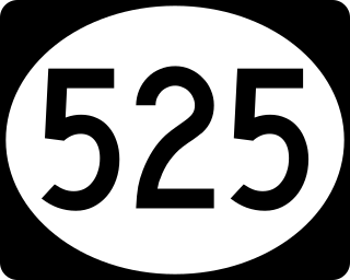 <span class="mw-page-title-main">Puerto Rico Highway 525</span> Highway in Puerto Rico