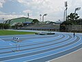 Thumbnail for Athletics at the 2010 South American Games