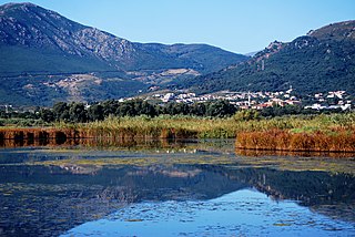 <span class="mw-page-title-main">Étang de Biguglia</span> Lagoon in Corsica, France
