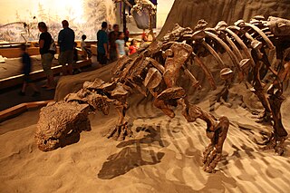 Ankylosauridae Extinct family of dinosaurs