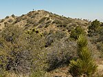 Eureka Peak (California)