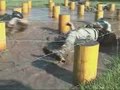 File:FC-11 Obstacle Course.ogv