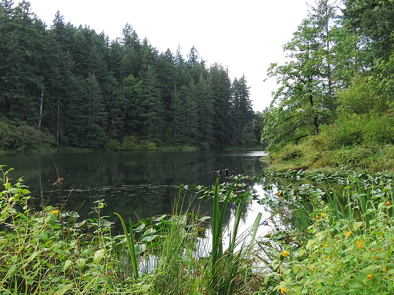 File:Fallen Leaf Lake (2019-09-10).jpg