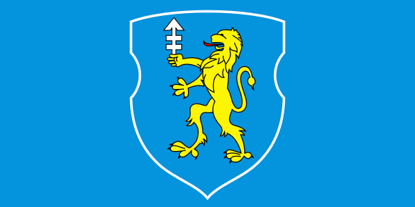 File:Flag of Słonim.svg