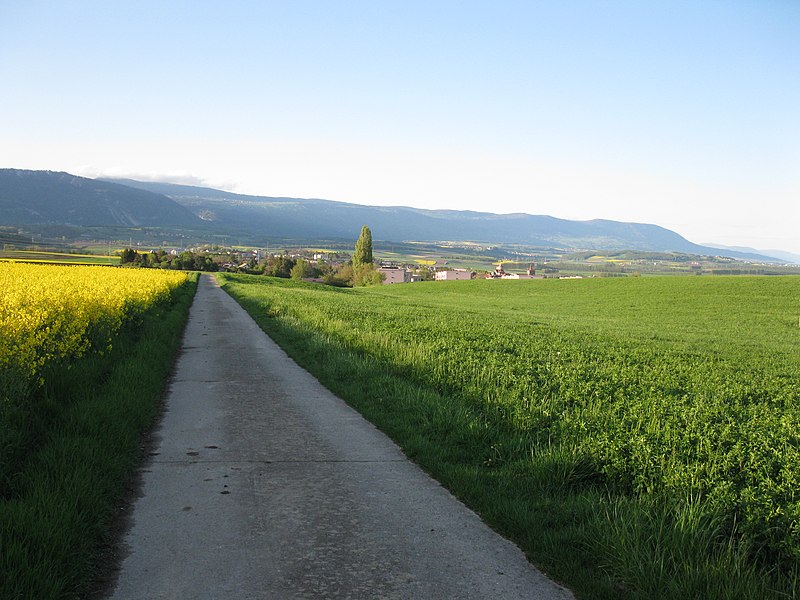 File:Fleurs de Lys - panoramio.jpg