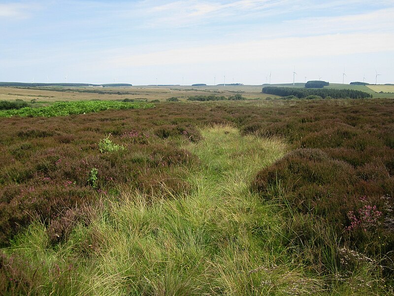 File:Footpath across Eglingham Moor to Hagdon - geograph.org.uk - 4076784.jpg