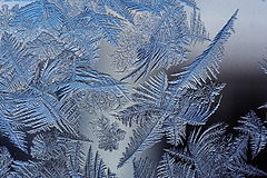 Frost patterns 2.jpg