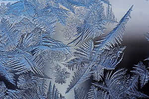 Frost patterns 2.jpg