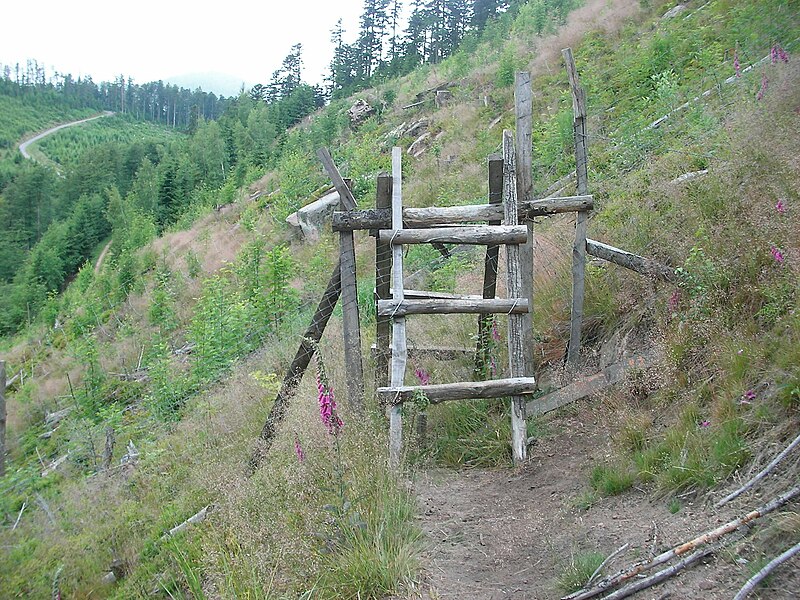 File:GR5 - Passage périlleux.jpg