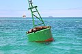 * Nomination Galápagos sea lions (Zalophus wollebaeki) on a buoy in the Itabaca Channel near Santa Cruz Island, Galápagos National Park, Ecuador --Bgag 00:26, 13 July 2016 (UTC) * Promotion Good quality. --Johann Jaritz 02:14, 13 July 2016 (UTC)