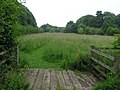 Glebe Meadows - June 2009 - panoramio.jpg