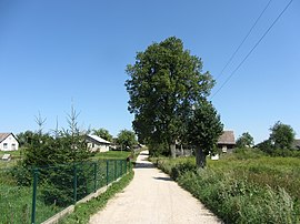 Gudeliai, Lithuania - panoramio (3).jpg
