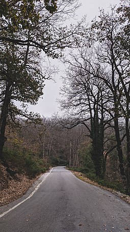 Road through the forest. Guerouch.jpg