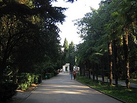 callejón central