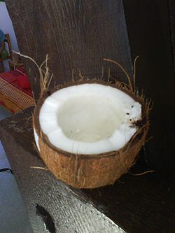 Half coconut.JPG
