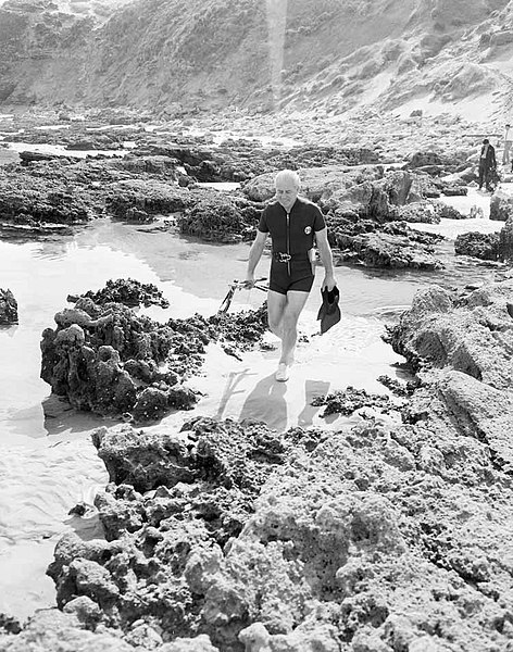 Harold Holt on a spearfishing expedition at Portsea, Victoria, in 1966