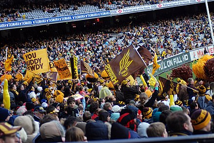 Supporters of Hawthorn at the MCG