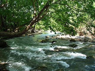 <span class="mw-page-title-main">Hasbani River</span> River in the Levant