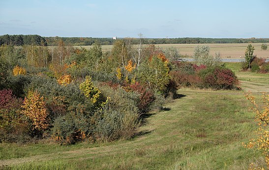 Fall colors next to an autobahn junction