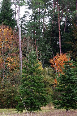 Autumn in Dordogne