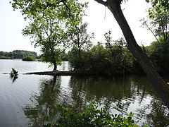 L'étang d'Amaury