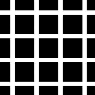 Grid illusion Optical illusion