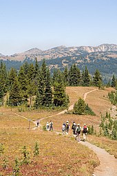 Eine Gruppe Wanderer im E.C. Manning Provincial Park.