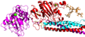 D domain close-up