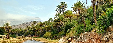 Image du Maroc.jpg