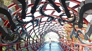 Hinaki Eel Trap Bridge