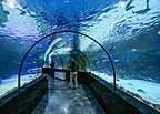 Isfahan Aquarium I2.jpg