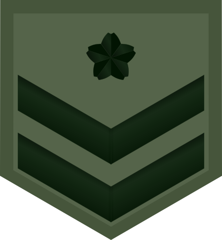 Tập_tin:JGSDF_Private_First_Class_insignia_(miniature).svg