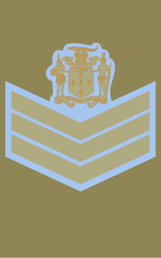 File:Jamaican Air Force OR-7.svg