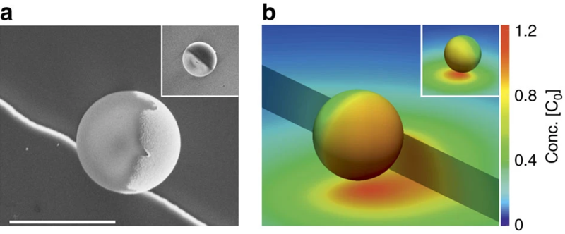 File:Janus microswimmers near submicrometre steps.webp