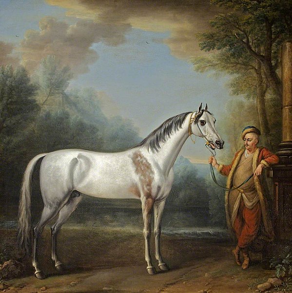 File:John Wootton (c.1682-1764) - The Bloody-Shouldered Arabian - 732306 - National Trust.jpg