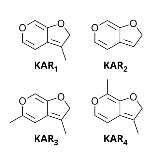 <span class="mw-page-title-main">Karrikin</span> A plant growth regulator