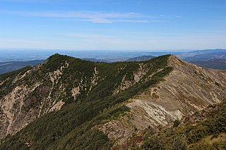 Kaweka Forest Park Forest park in New Zealand